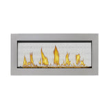 Napoleon Vector 38 Direct Vent See-Through Gas Fireplace
