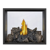 Napoleon High Definition 81 Direct Vent See-Thru Fireplace