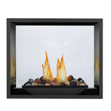 Napoleon High Definition 81 Direct Vent See-Thru Fireplace