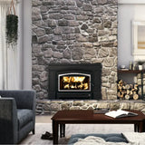 Osburn Matrix 2700 Wood Fireplace Insert