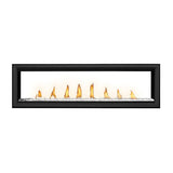 Napoleon Vector 62 Direct Vent See-Through Gas Fireplace