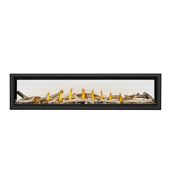 Napoleon Vector 74 Direct Vent See-Through Gas Fireplace