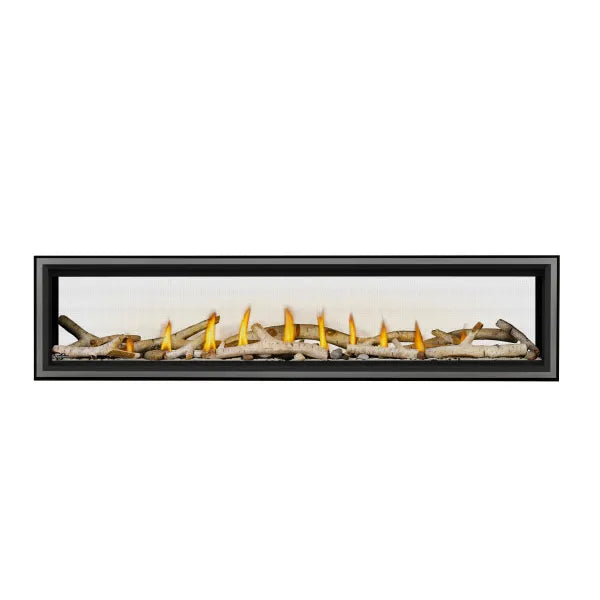 Napoleon Vector 74 Direct Vent See-Through Gas Fireplace