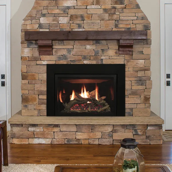 Empire Rushmore Clean-Face DV Gas Fireplace Insert - 30"