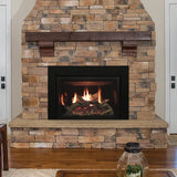 Empire Rushmore Clean-Face DV Gas Fireplace Insert - 35"